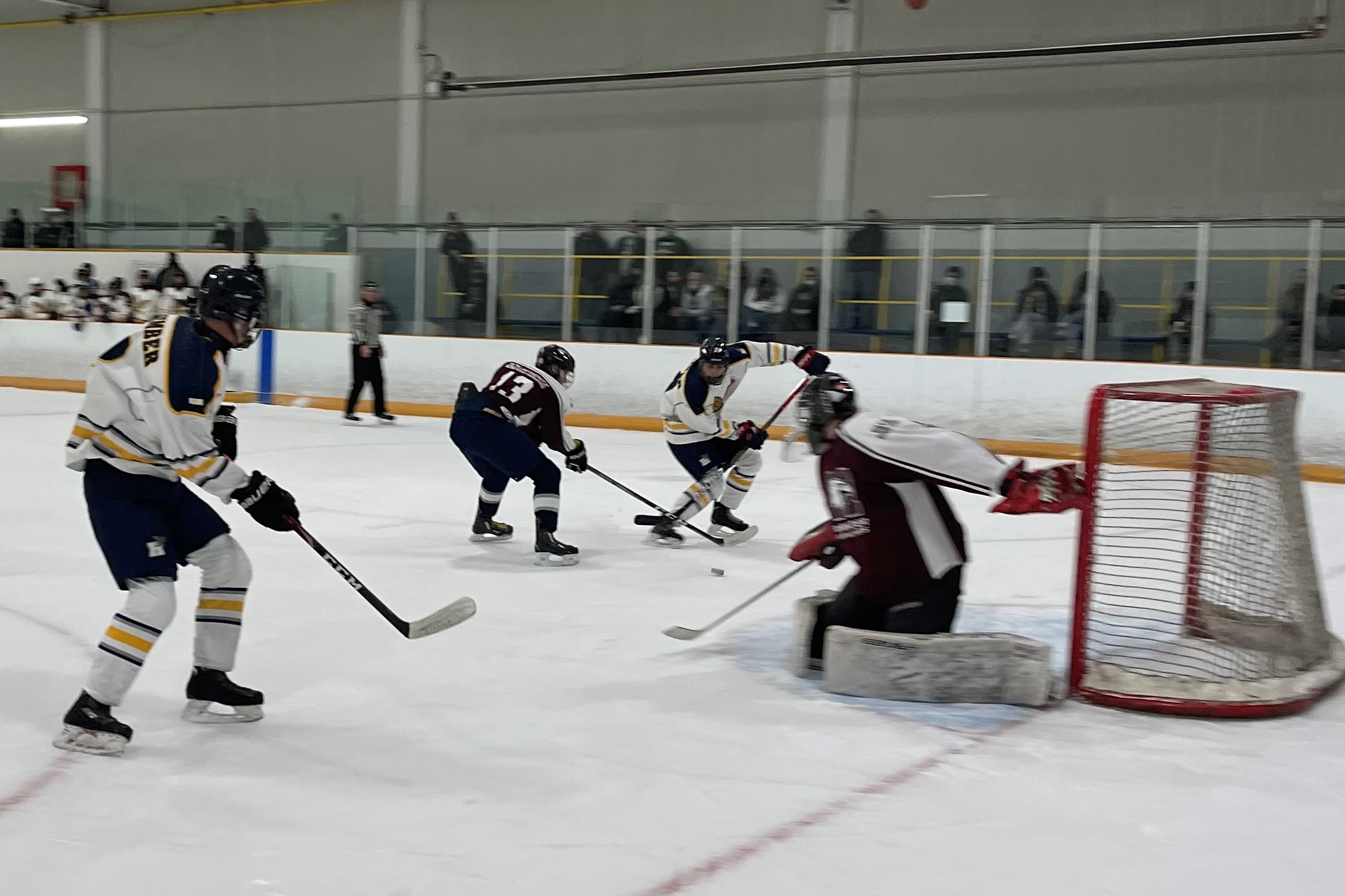 humber men's hockey versus McMaster goal photo