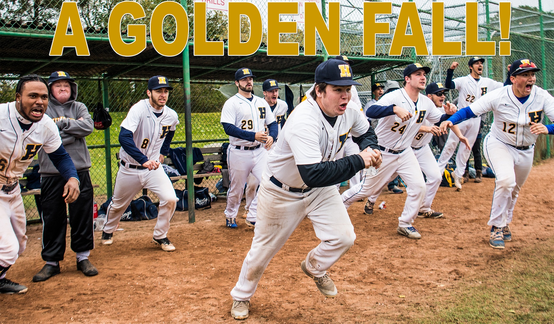 "GOLDEN FALL" FOR HAWKS INCLUDES HUMBER'S 50TH CCAA NATIONAL TITLE