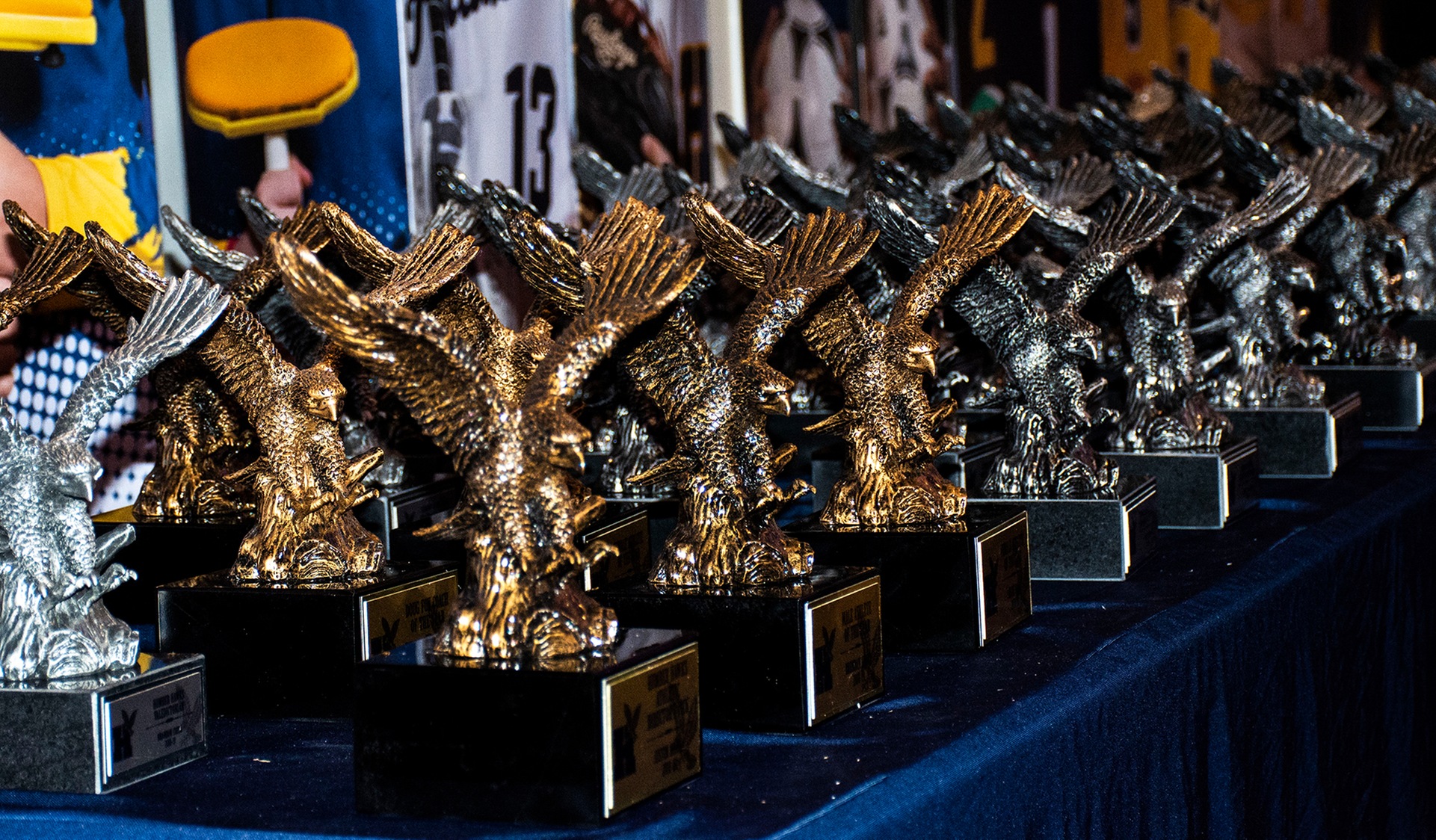 2020 Humber Varsity Award Winners