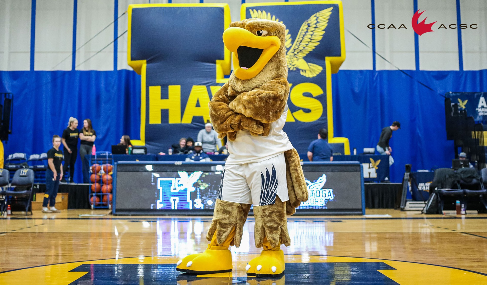 38 Humber Student-Athletes Named CCAA National Scholars