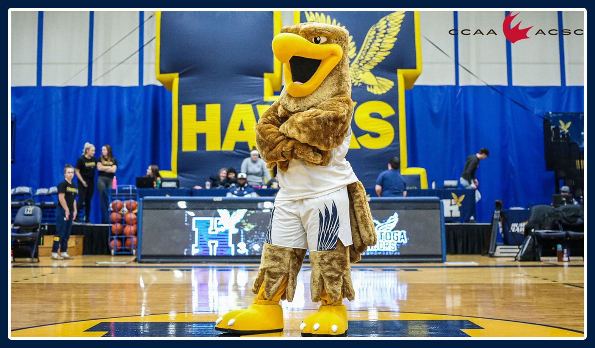 Howie the Hawk posing at centre court
