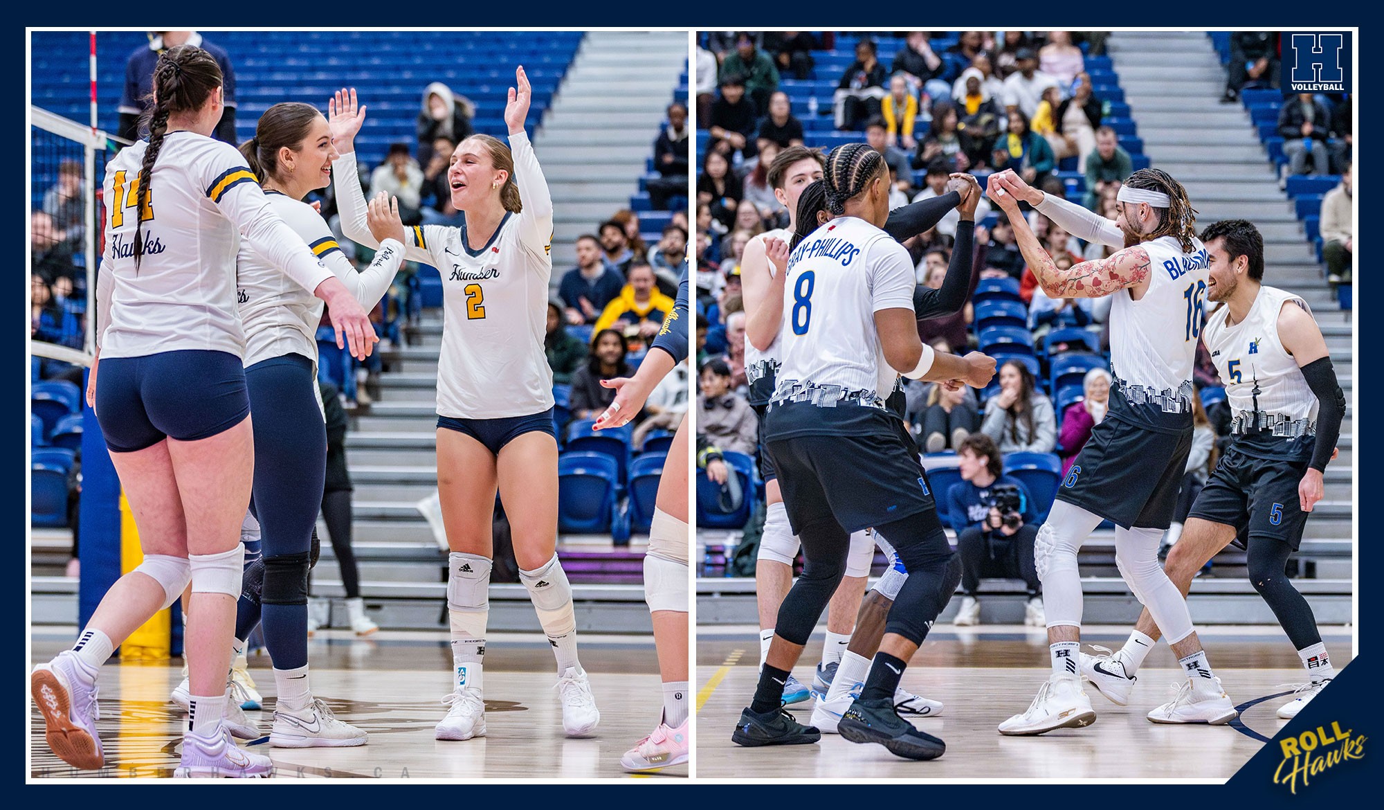 2025 Humber volleyball postseason schedule