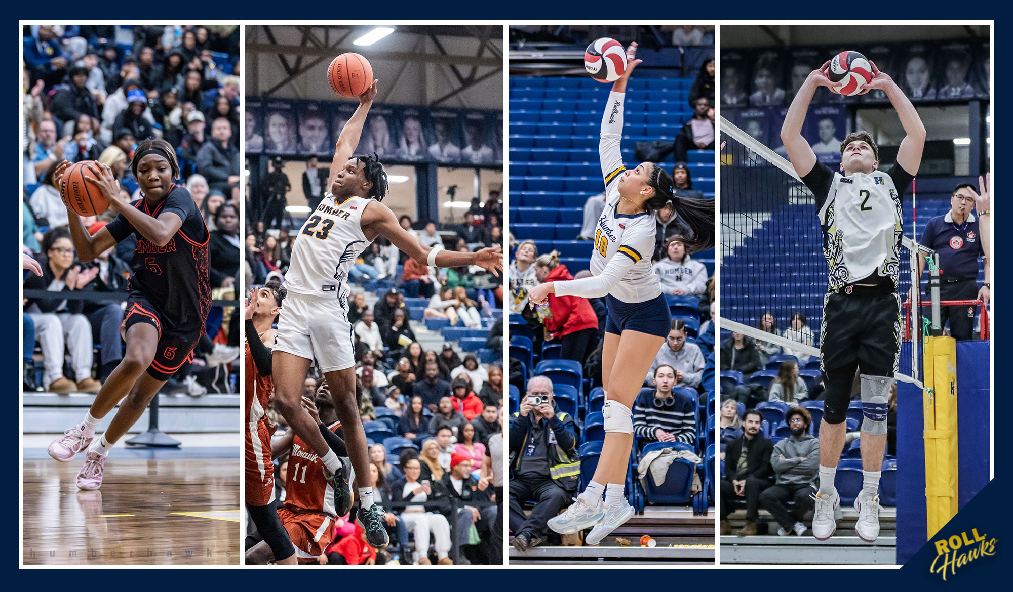 Action packed Saturday for Humber at the Hawks Nest
