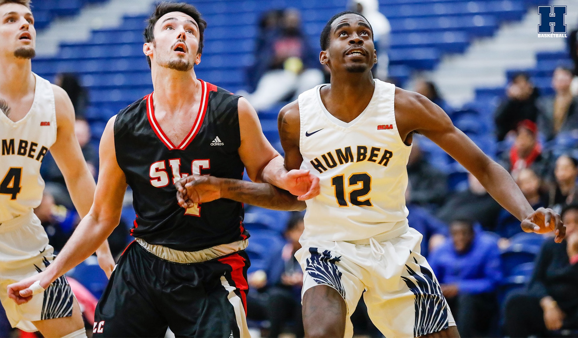 No. 10 Men's Basketball Books Spot in OCAA Final Eight