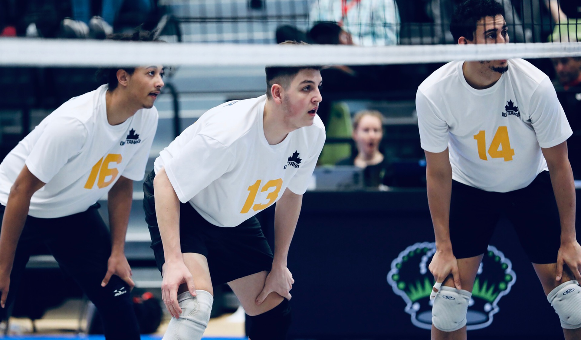 HAWKS CLOSE OUT 2019 CCAA CHAMPIONSHIPS WIN 3-1 WIN OVER HOLLAND