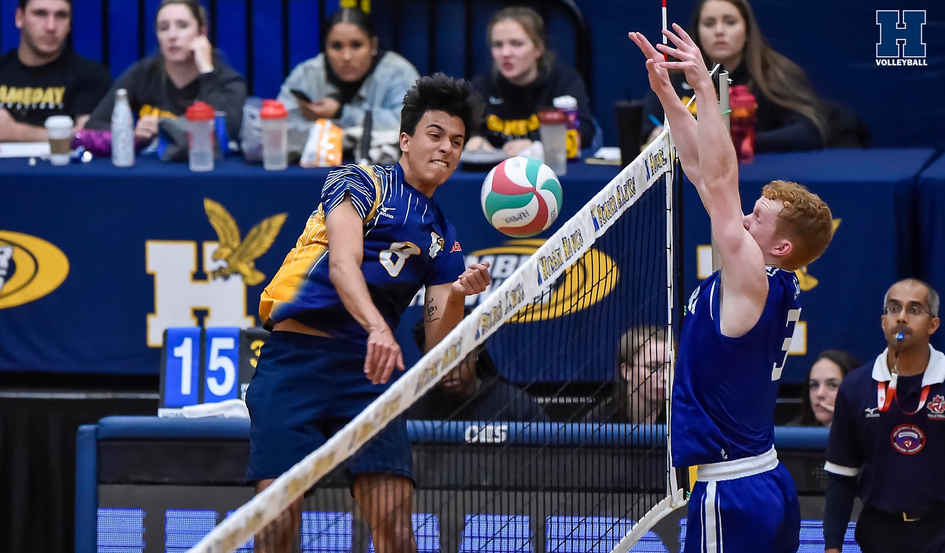 No. 3 Men's Volleyball Takes Down Niagara, 3-1
