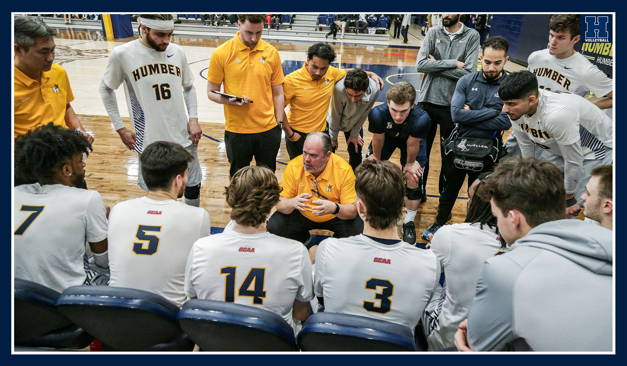 Men's Volleyball set to host skills development camp