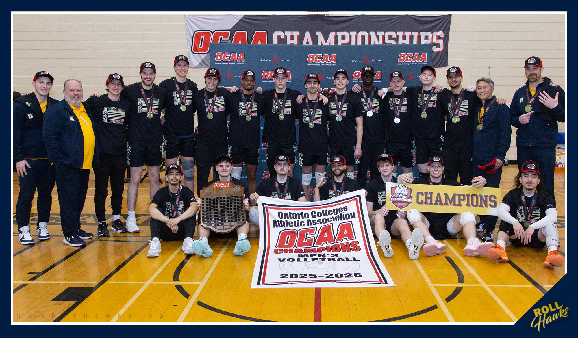 Men's volleyball banner photo