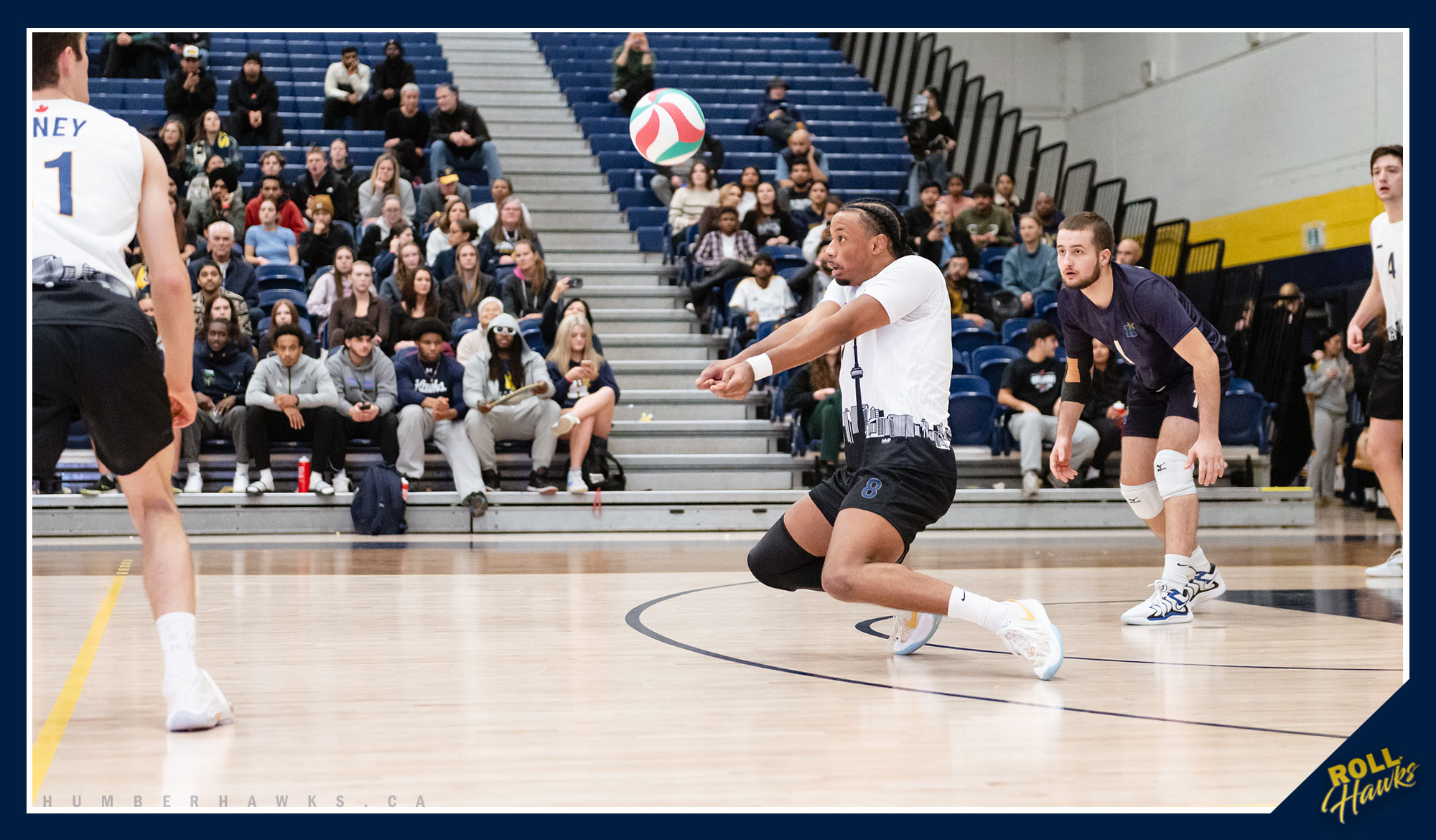 Men's volleyball names 2025-26 roster