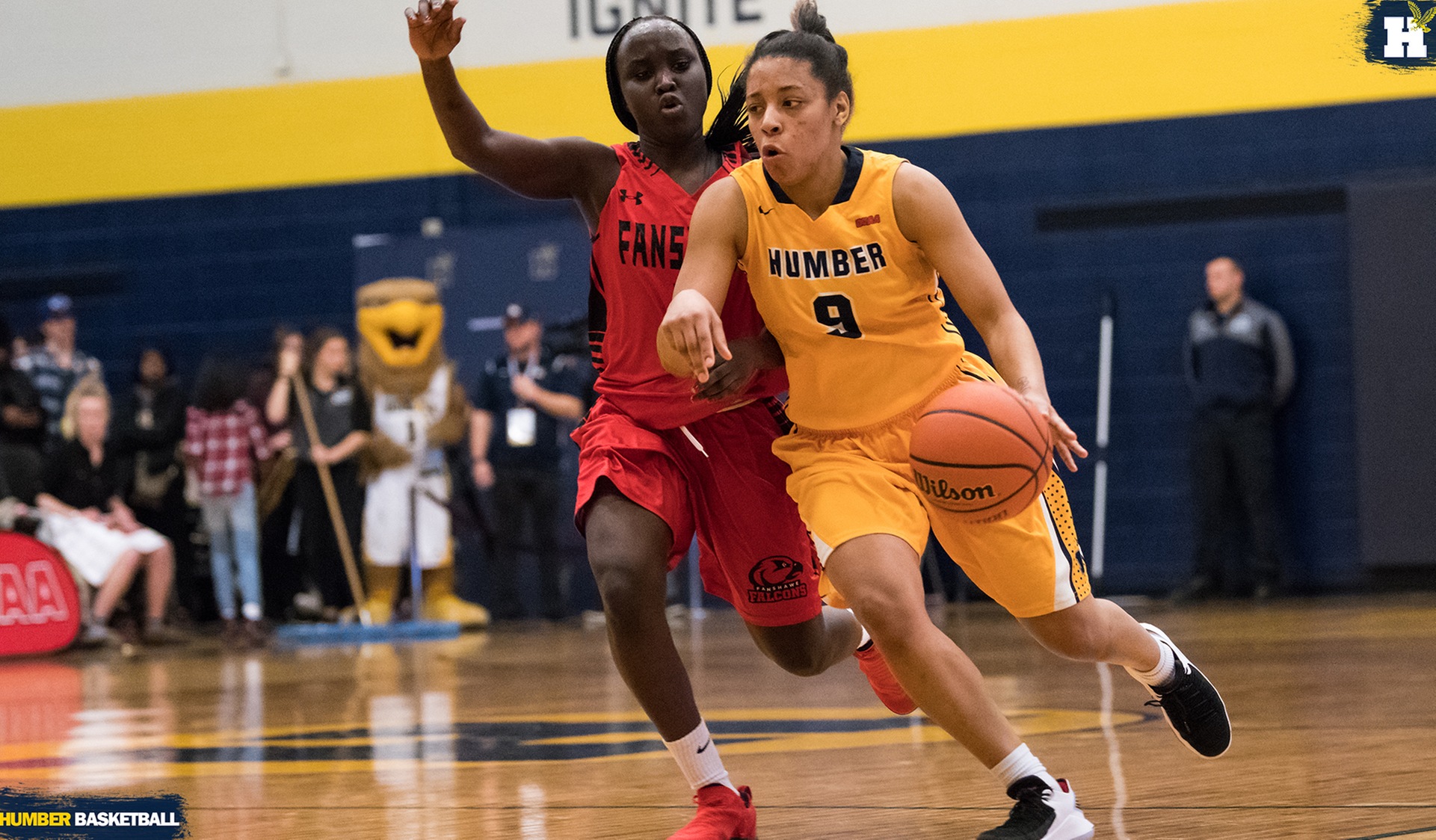 WOMEN'S BASKETBALL DROP SEASON OPENER, STREAK ENDS AT 81