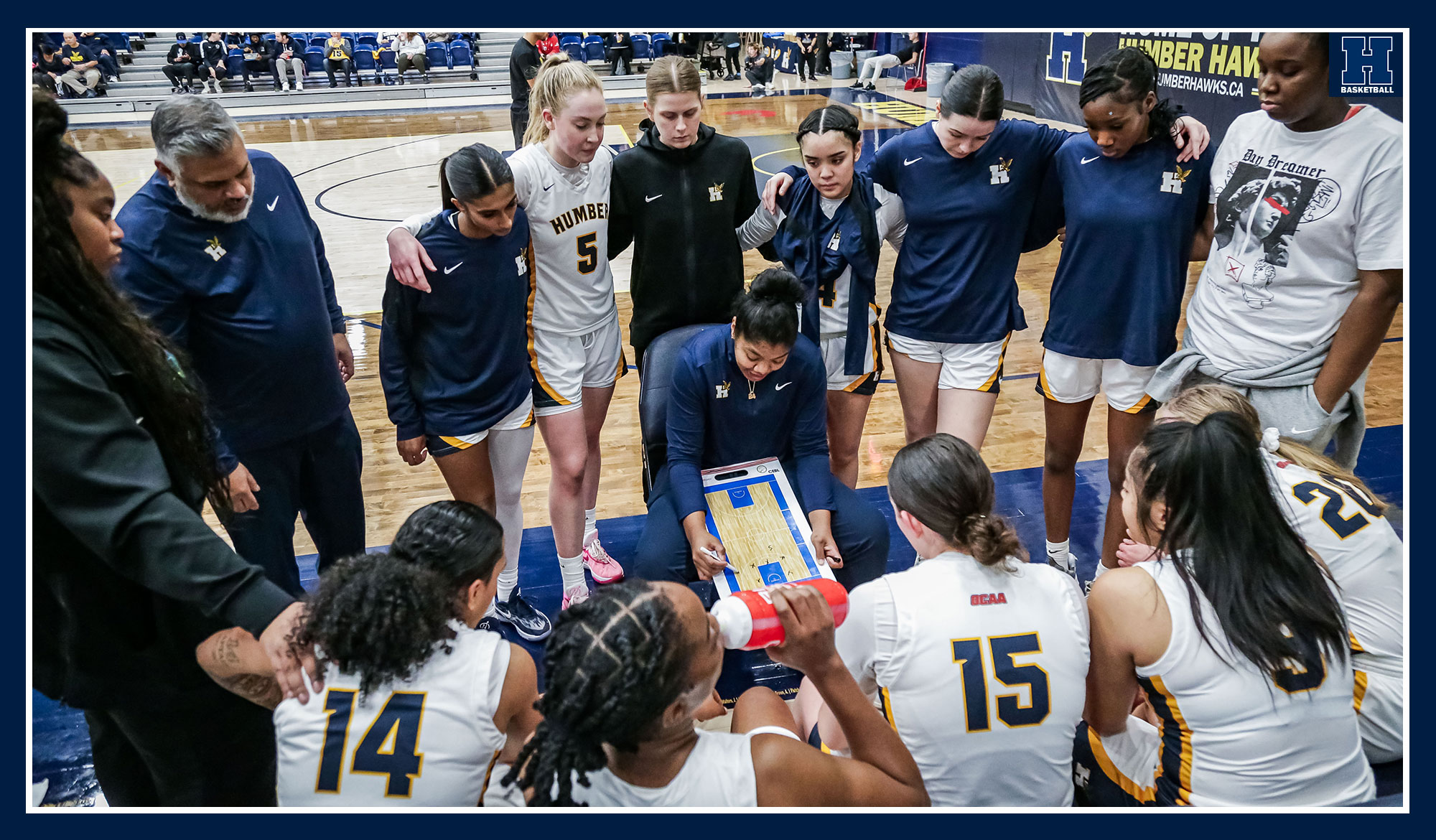 Nofuente drawing up a play mid-game