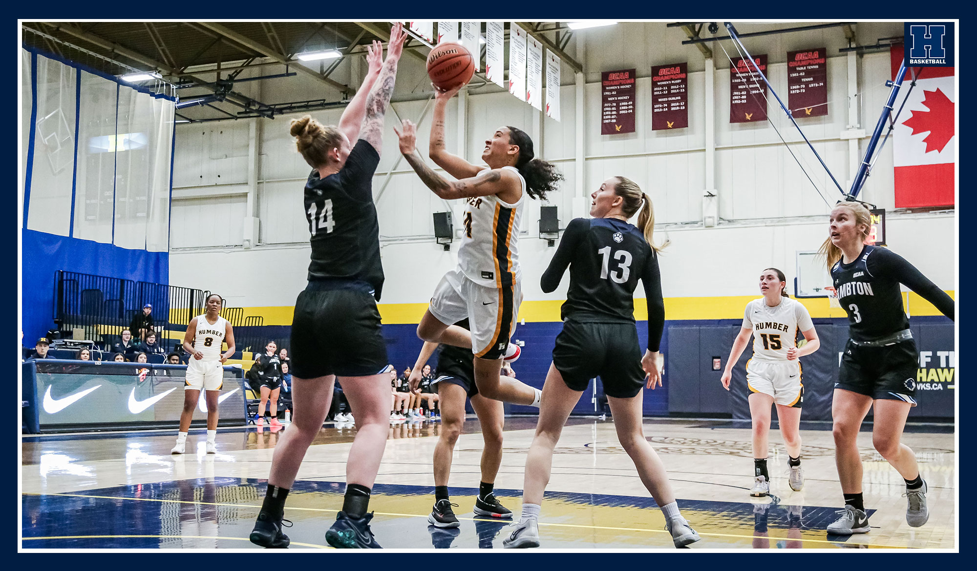 Lambton hands Women's Basketball first home loss of the season
