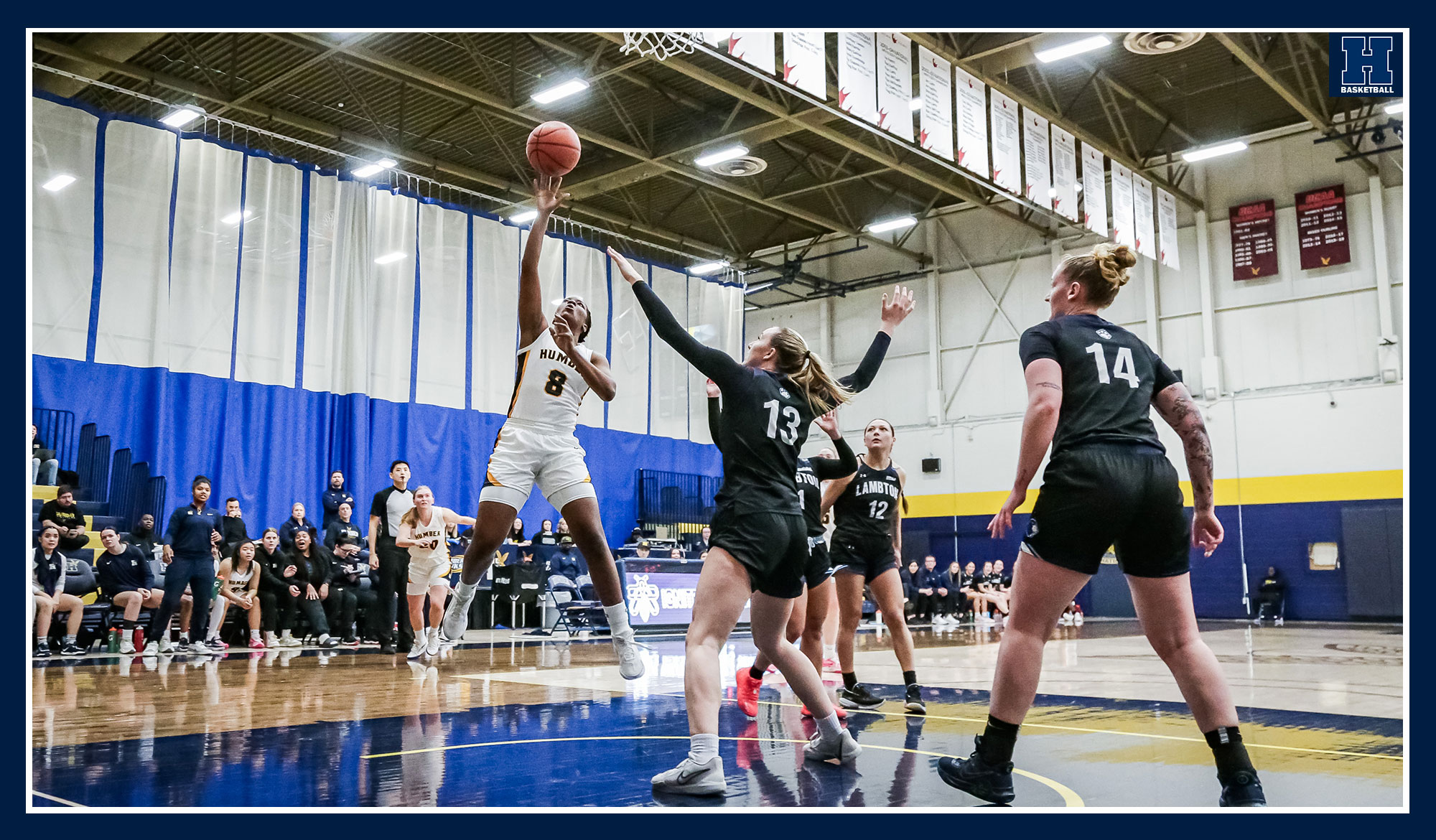 Women's basketball season ends with loss to No. 8 Lambton