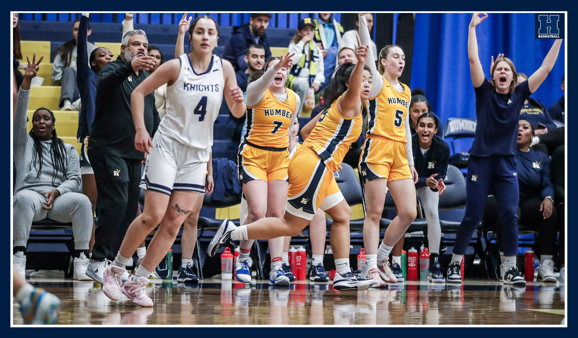 Humber bench celebrating a three-pointer