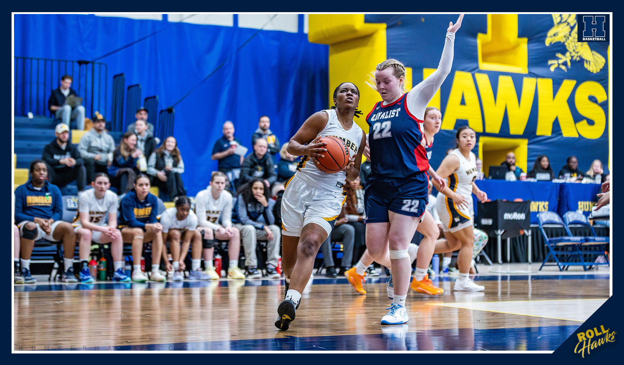 No. 12 Women's Basketball earns spot in Final Four