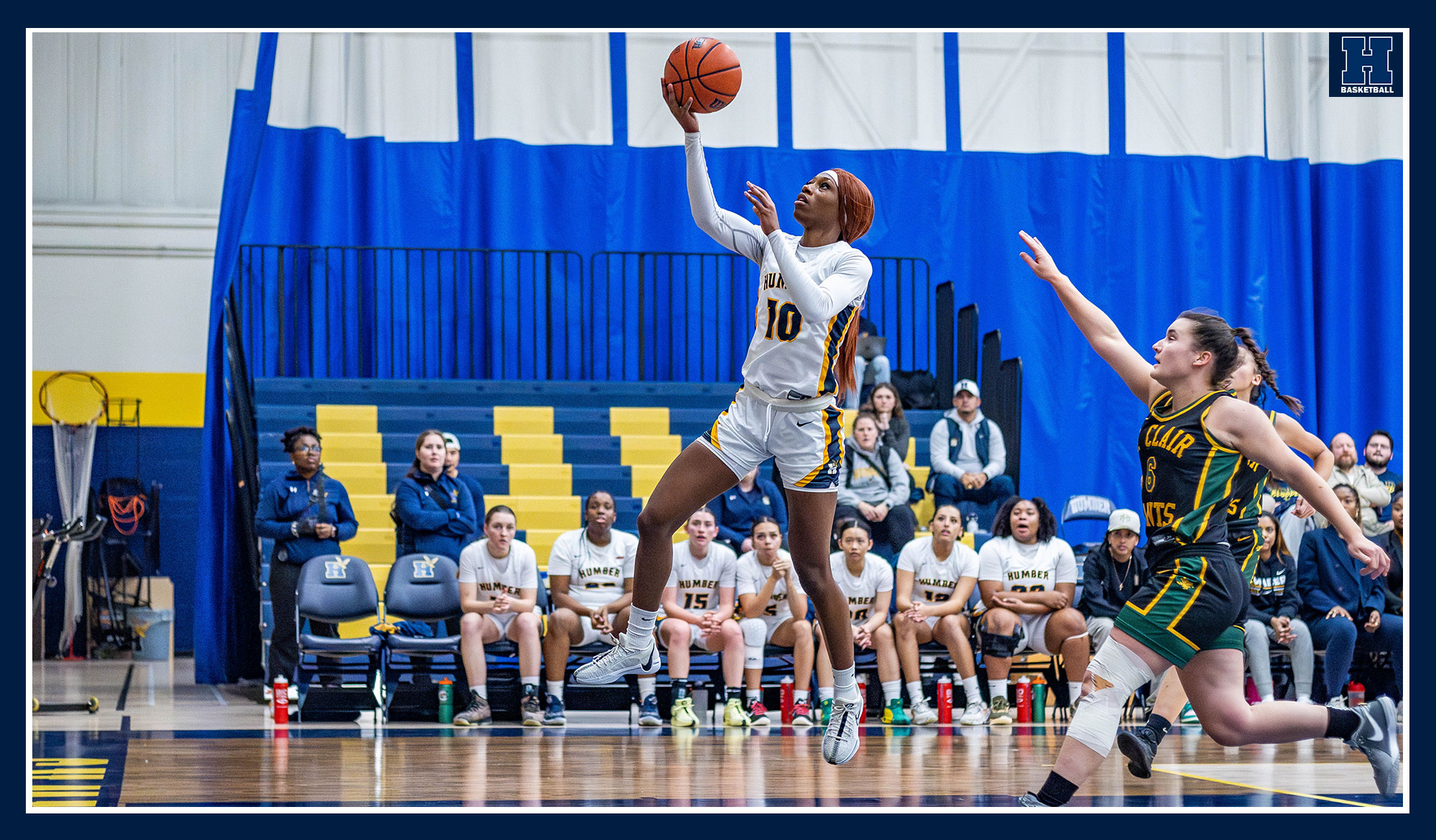 Another home victory for No. 11 Women's Basketball