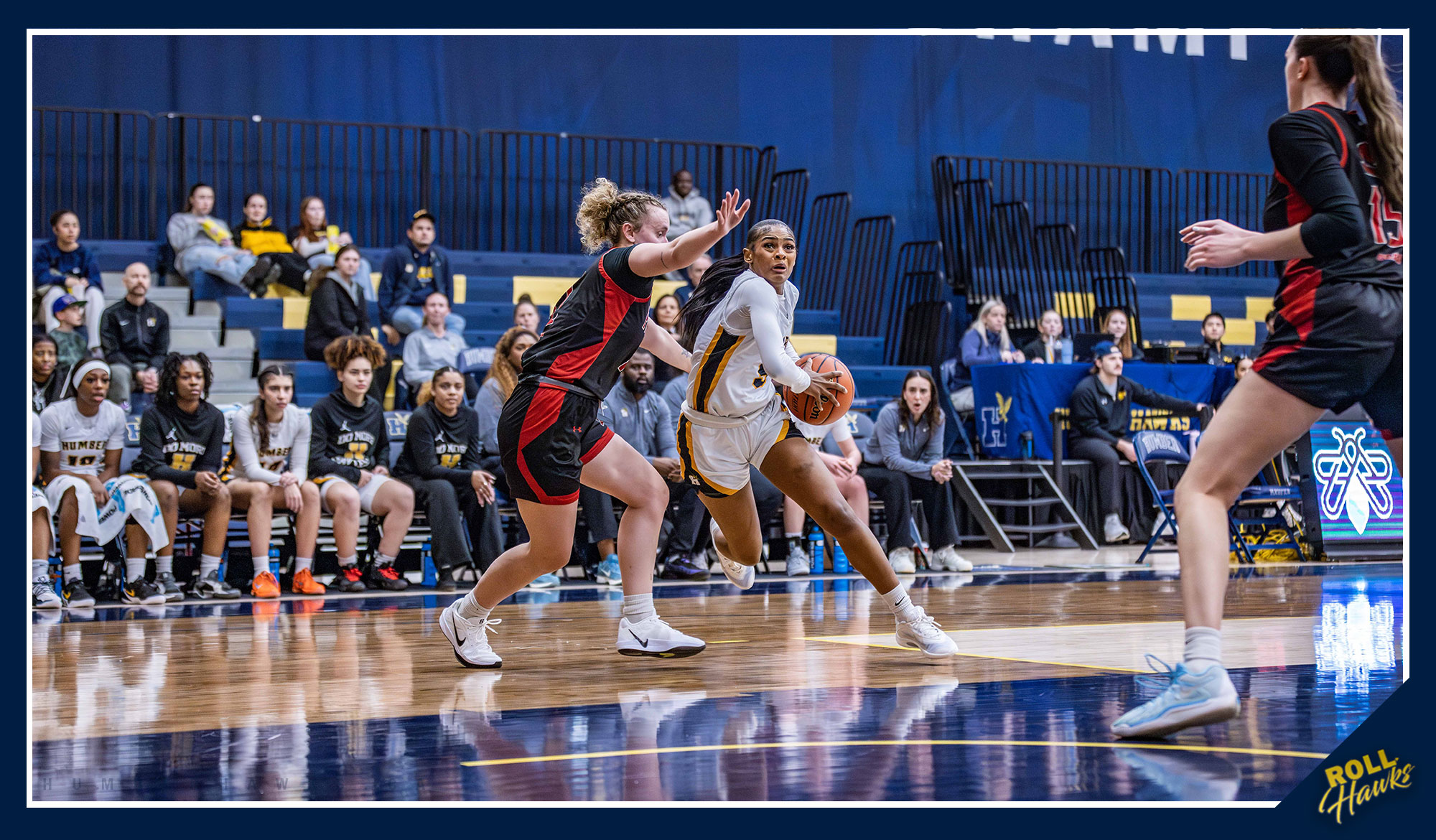 Dominant first half lifts No. 13 Women&rsquo;s Basketball over Fanshawe