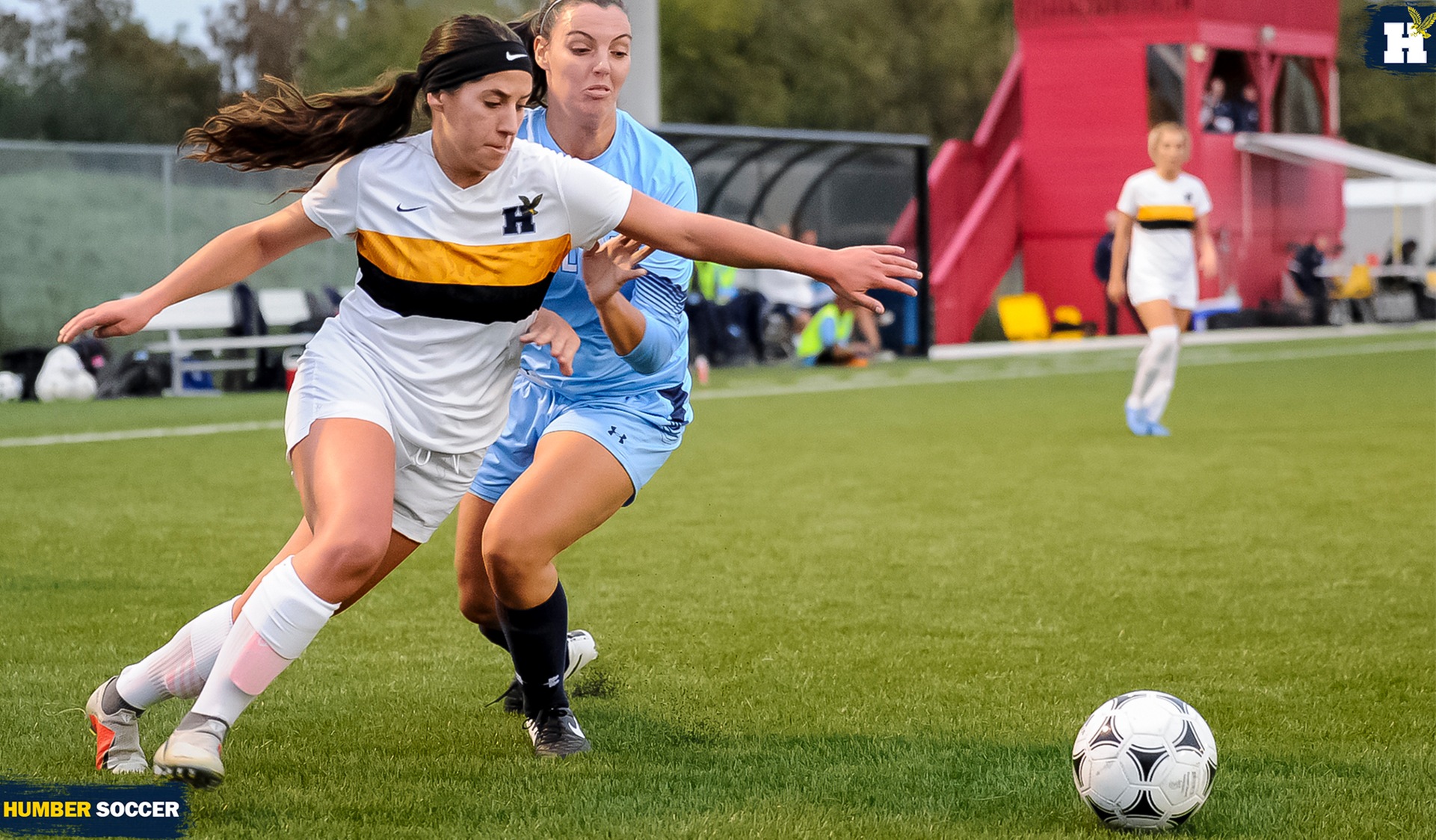 No. 4 WOMEN'S SOCCER WILL CONCLUDE SEASON AT No. 12 SHERIDAN TUESDAY