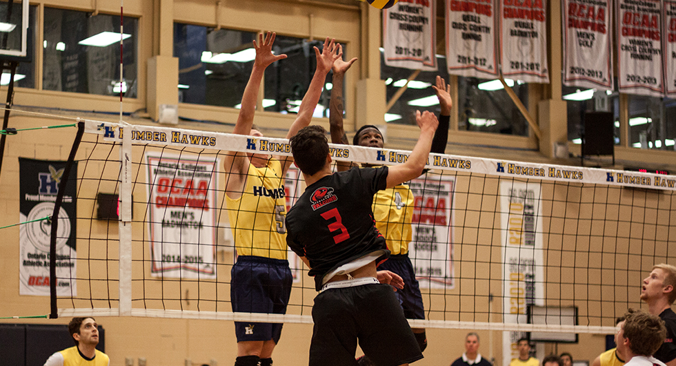 HAWKS BATTLE THE TOP RANKED FALCONS IN LONDON