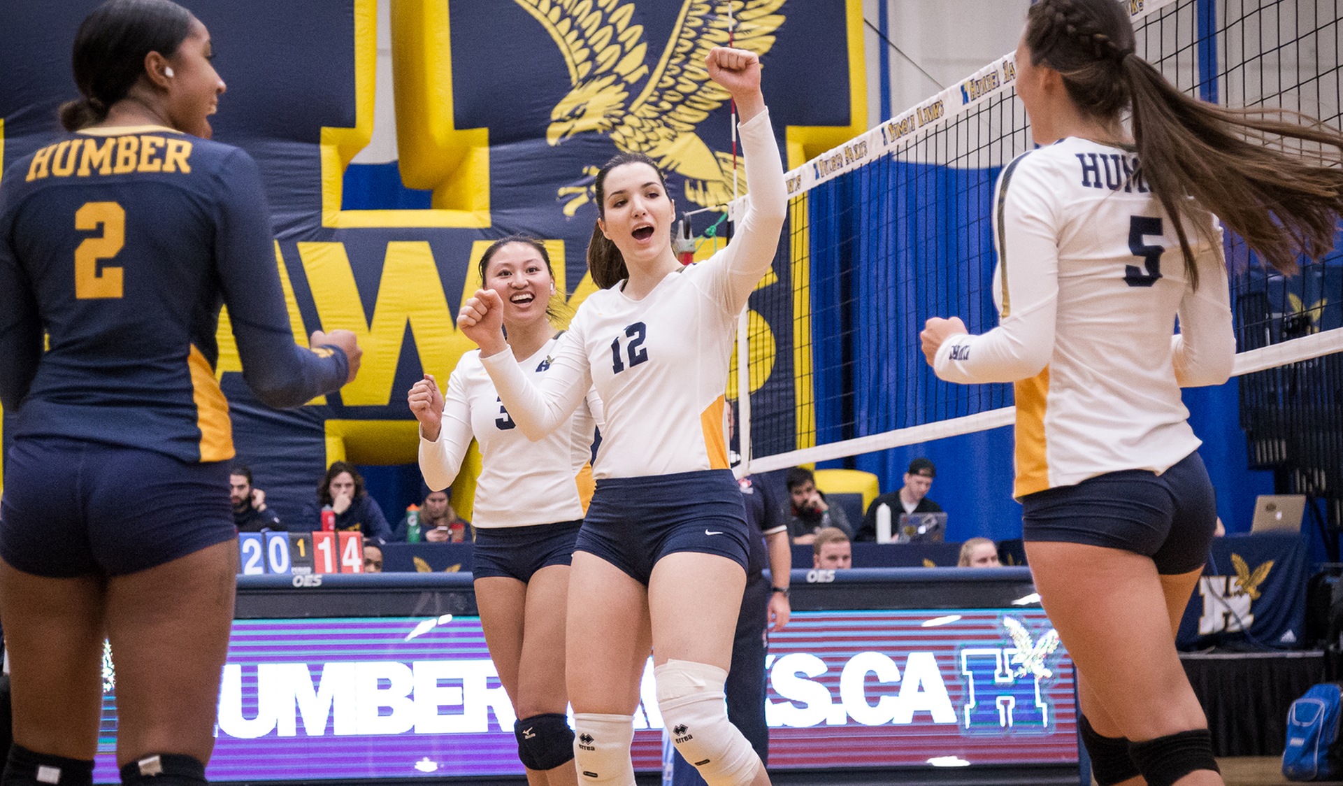 HAWKS 3-0 WIN OVER CAMBRIAN COMPLETES SWEEP OF THE NORTH