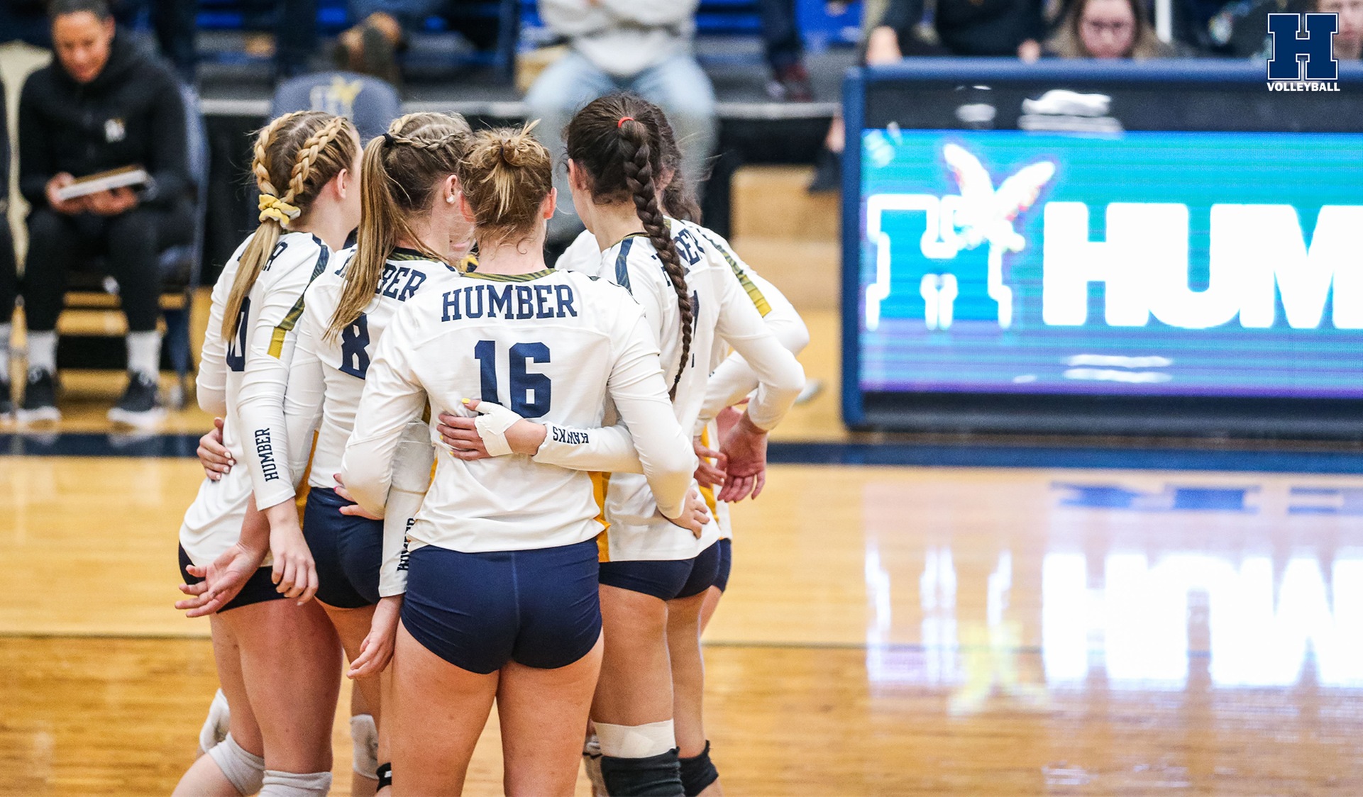 No. 14 Women's Volleyball Wins Close Road Match at Niagara