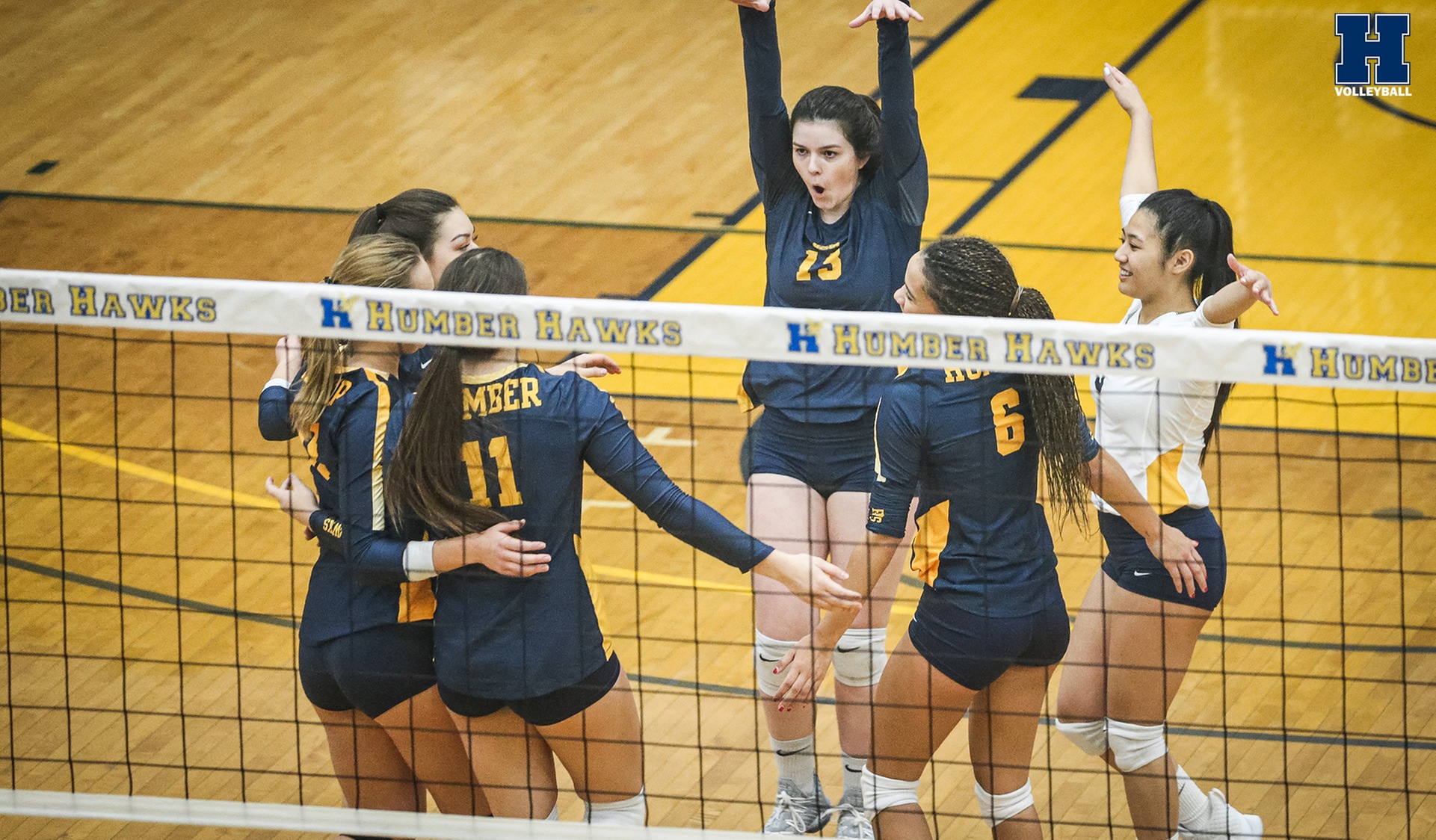 Another Sweep for No. 15 Women's Volleyball Over Bor&eacute;al