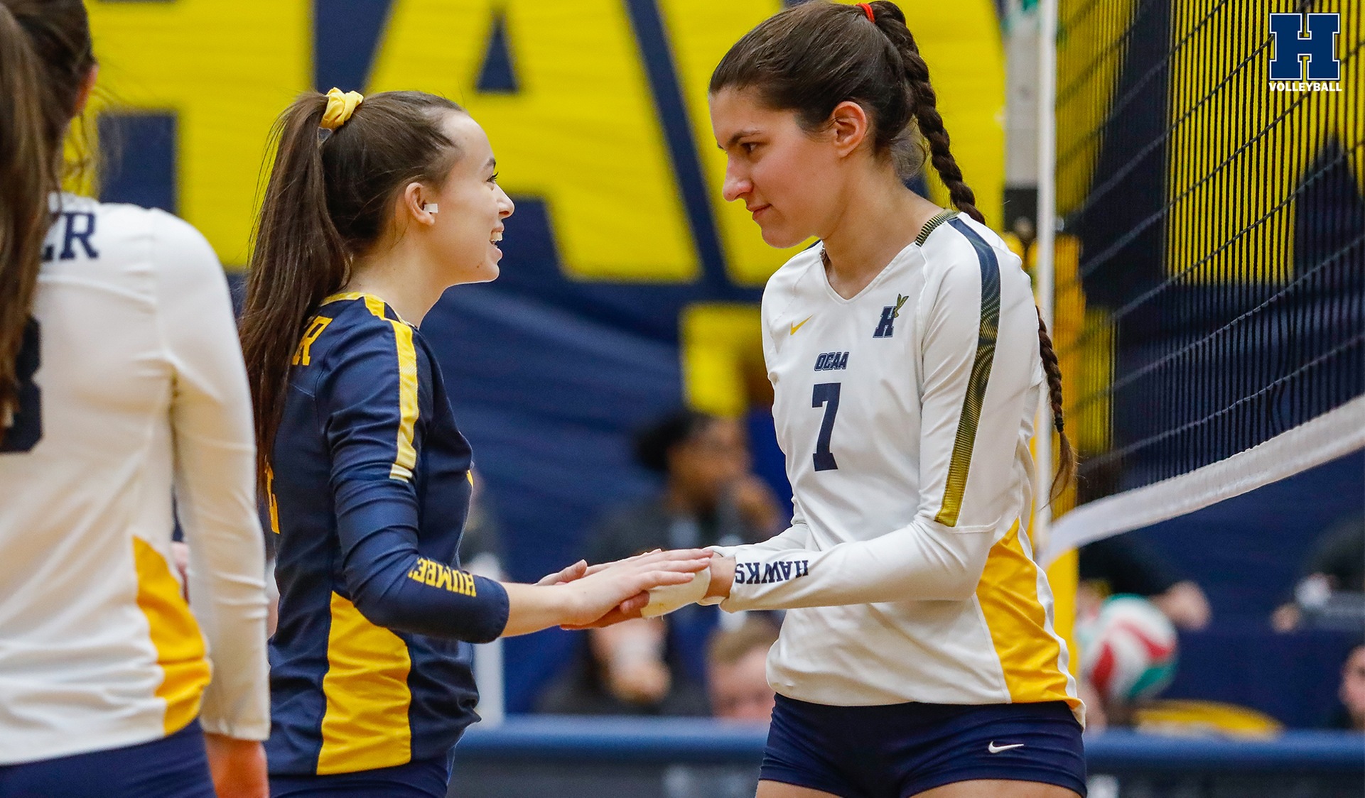 Women's Volleyball Beats Seneca, Advances to OCAA Championship Tournament