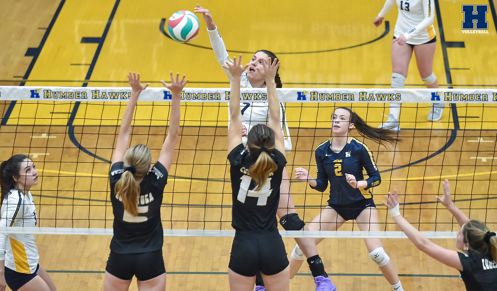 No. 15 Women's Volleyball Sweeps Conestoga to Begin Second Half