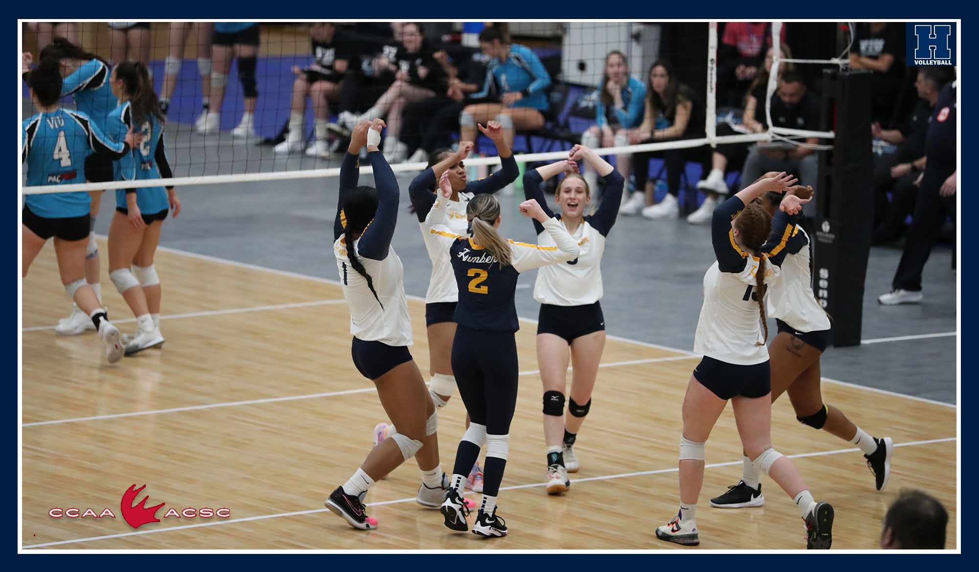Women's volleyball celebrating a point against VIU