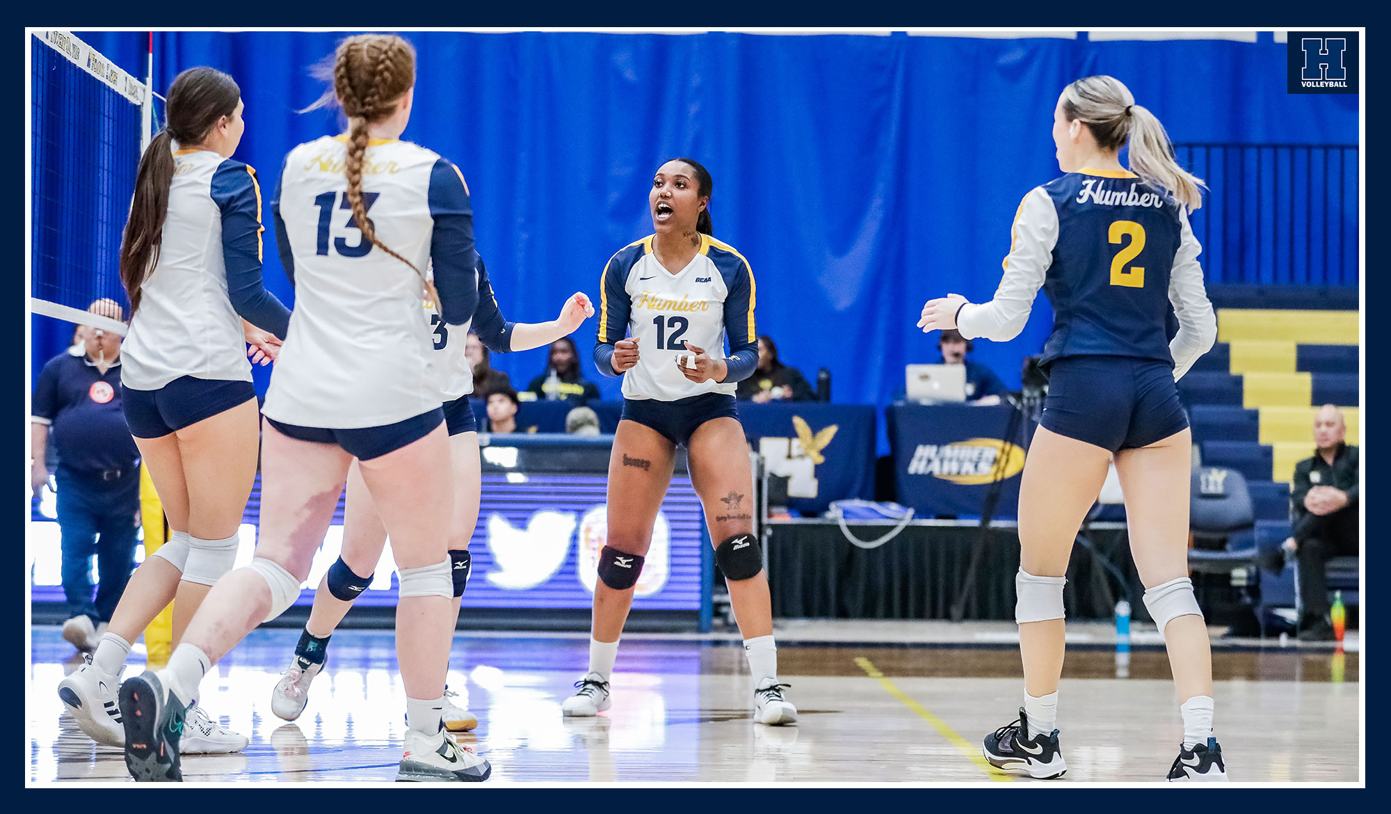 Women's volleyball celebrating a point
