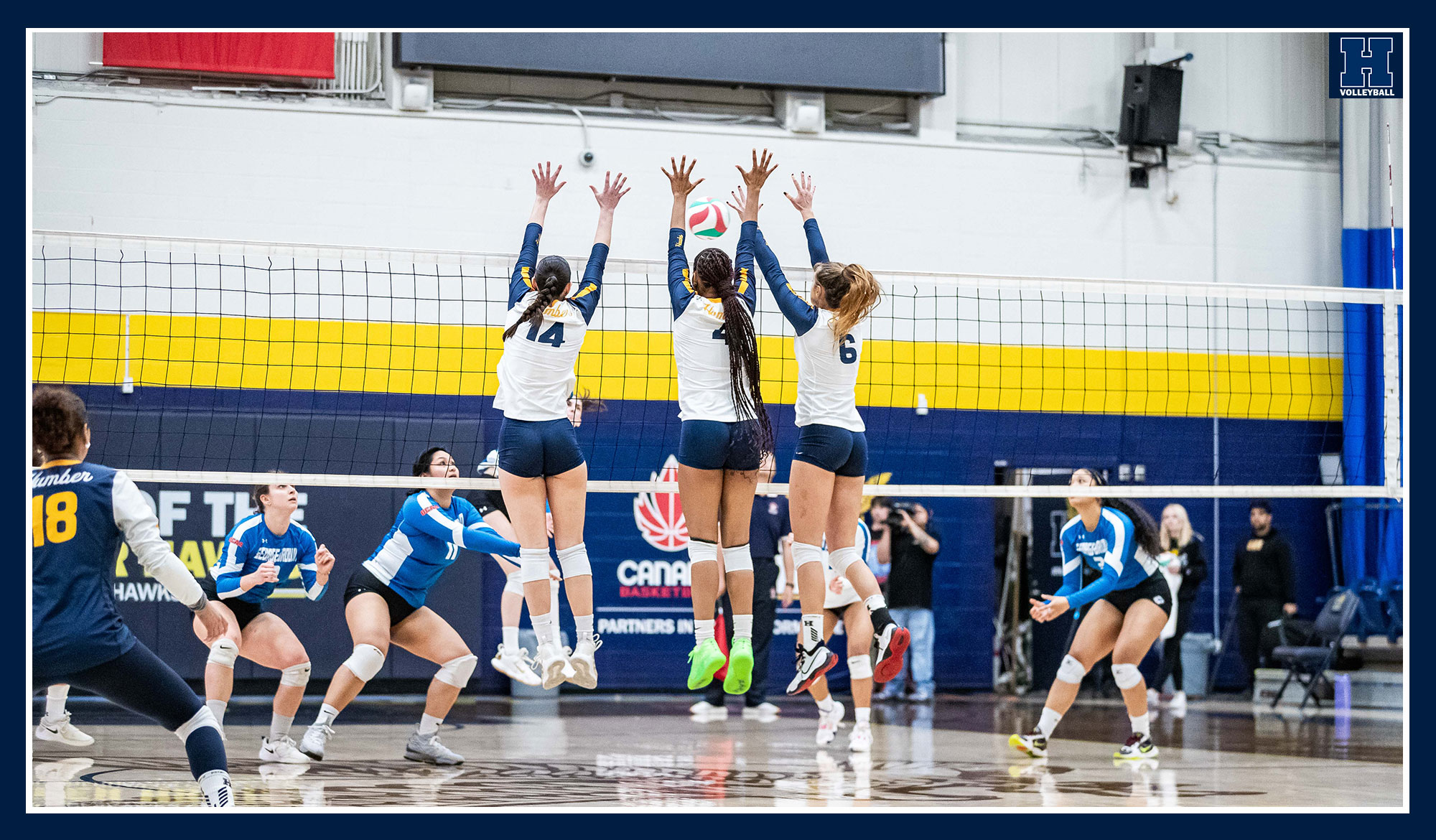Triple block at the net