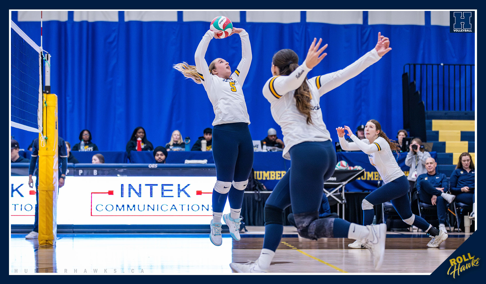 Perfect season for No. 4 Women's Volleyball