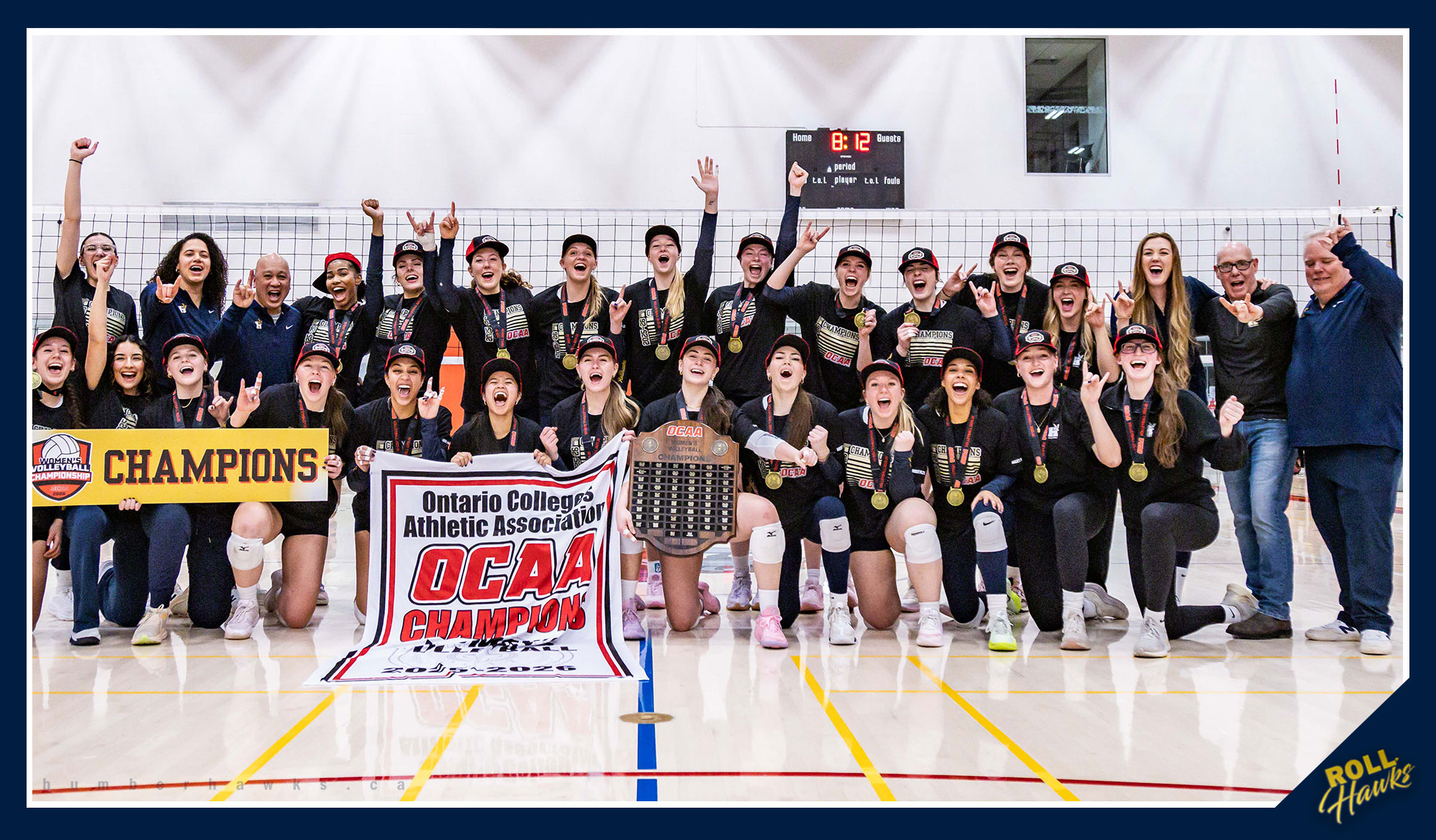 Women's volleyball banner photo