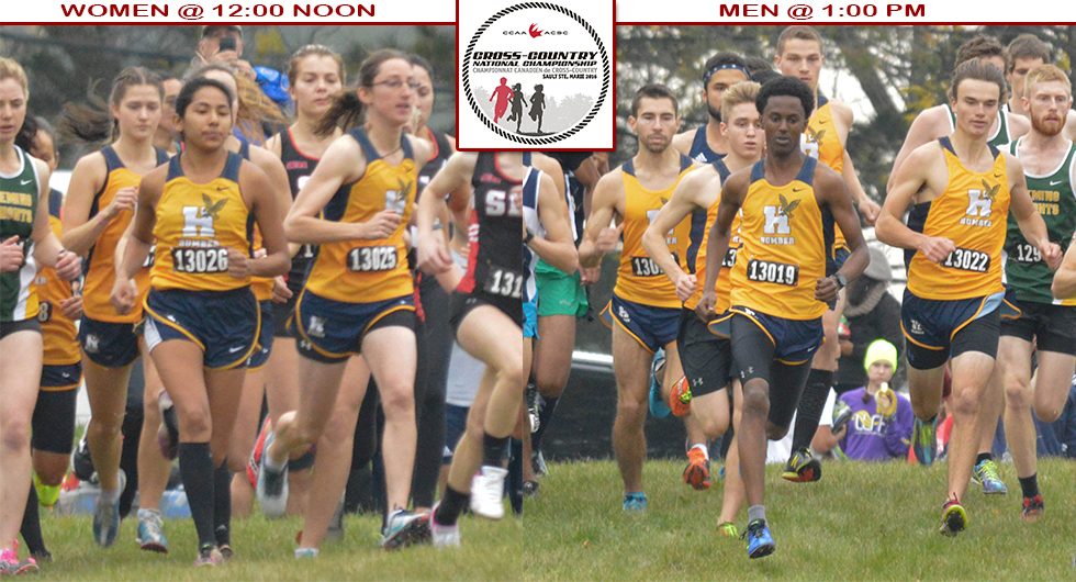 CROSS COUNTRY TO RUN FOR NATIONAL GOLD THIS WEEKEND