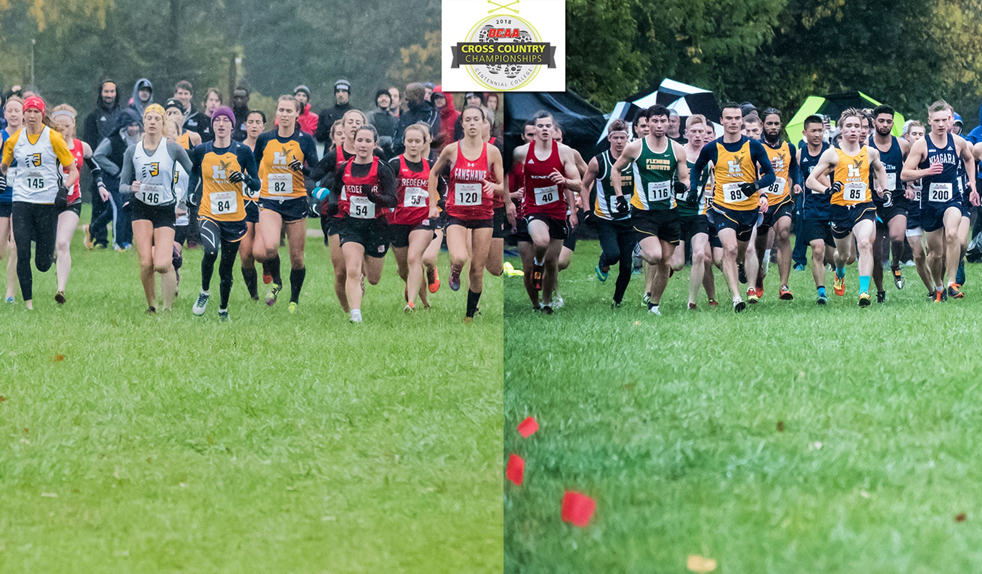 HAWKS LOOK TO STAND ON PODIUM AS RACE FOR PROVINCIAL GOLD IS ON SATURDAY