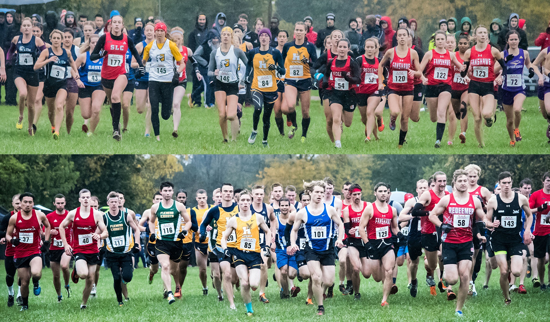 CROSS COUNTRY TEAMS OPEN SEASON IN LONDON AT FANSHAWE INVITATIONAL