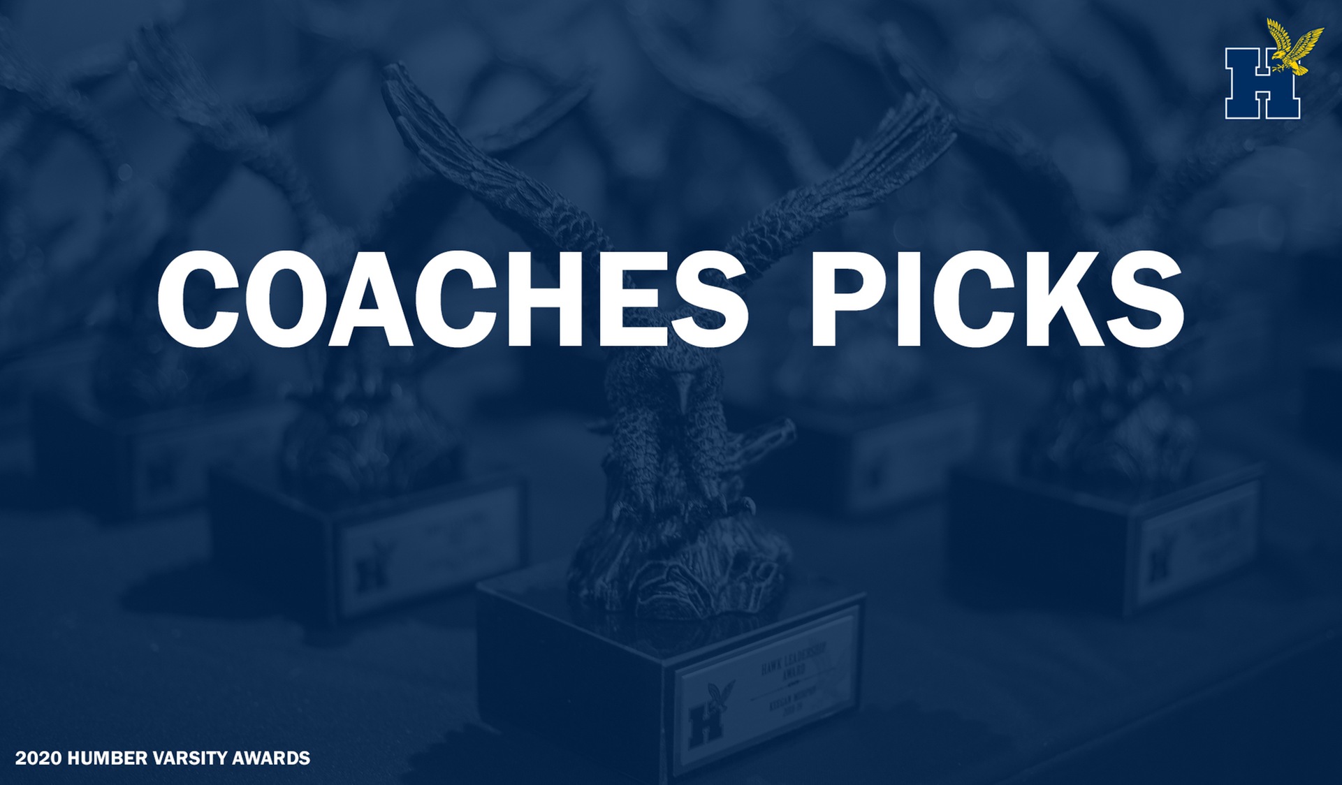 2020 Humber Varsity Awards: Coaches Picks